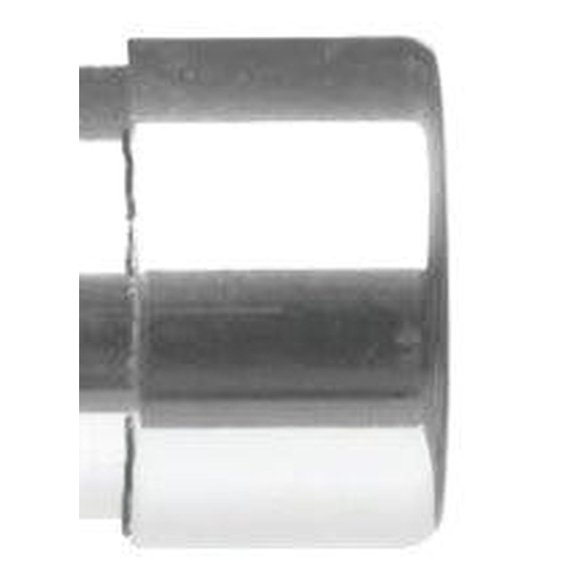 Endcap Polish Chrome 1-3/16" - Alan Richard Textiles, LTD Forest Porto 1-3/16" Decorative Metals