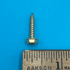 Gold Hex Head Screw