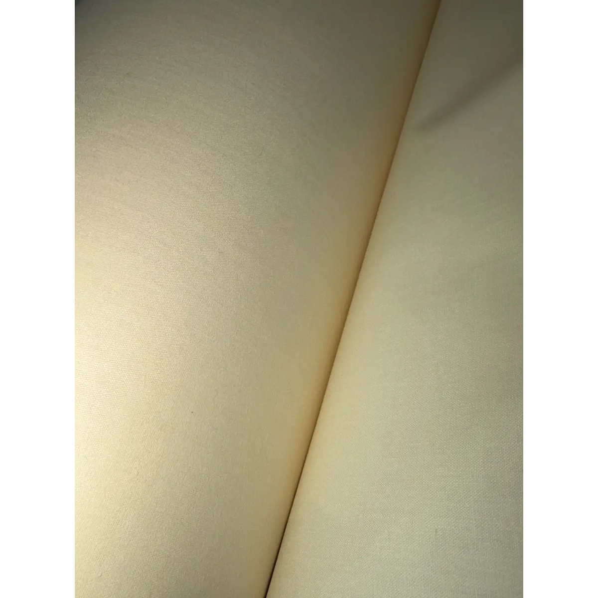 Hanes 42" 100% Cotton Down Proof Ticking - Natural