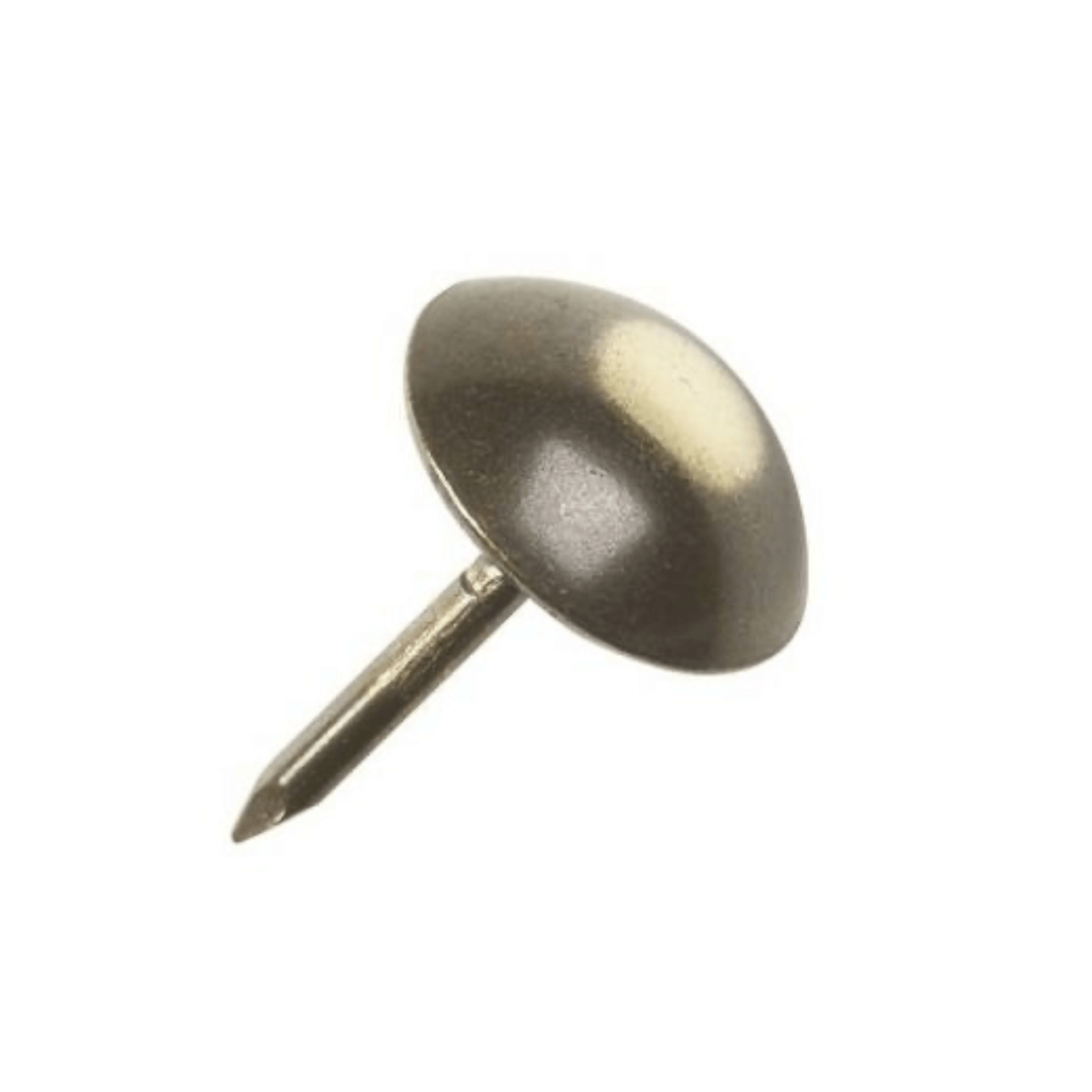 Bronze Renn Polished Brass Upholstery Nails