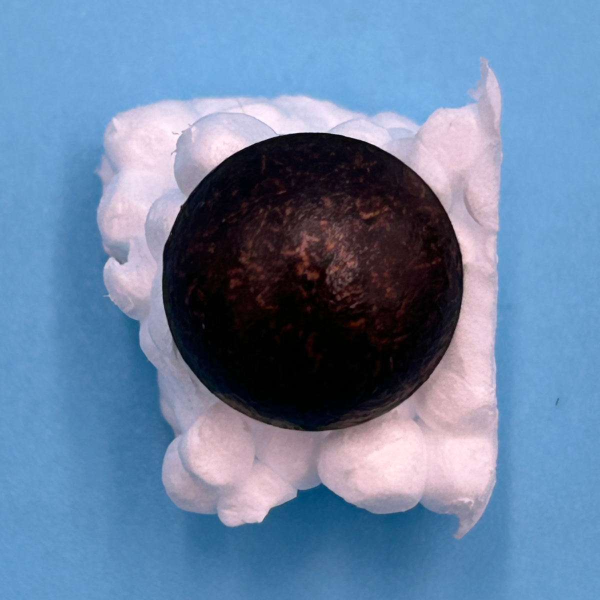 Z912 Decorative Upholstery Nail