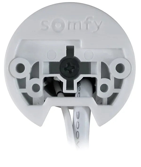 Somfy Sonesse 30 RS485 Rollup Motor