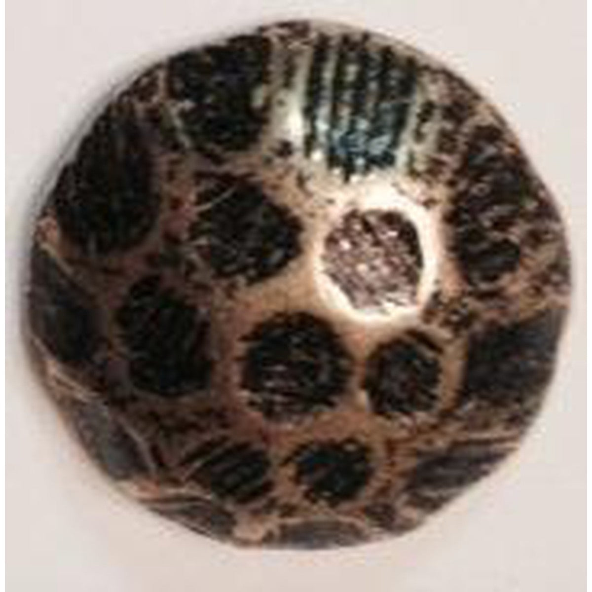 Artex Domed Moonbeams Upholstery Nails - 500 Per Box - Alan Richard Textiles, LTD Artex Decorative Upholstery Nails - Exclusive Collection