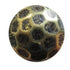 Glimmer #84 Hammered150/BX Head Size:13/16" Nail Length:5/8" - Alan Richard Textiles, LTD Black Diamond Decorative Nail Collection